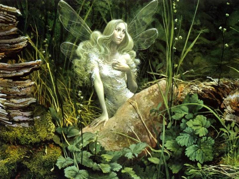 forestfaerie.jpg