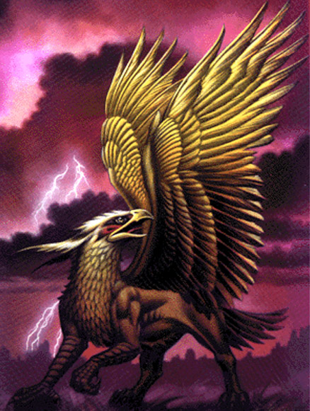 griffon.jpg